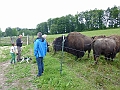 Bild (17)